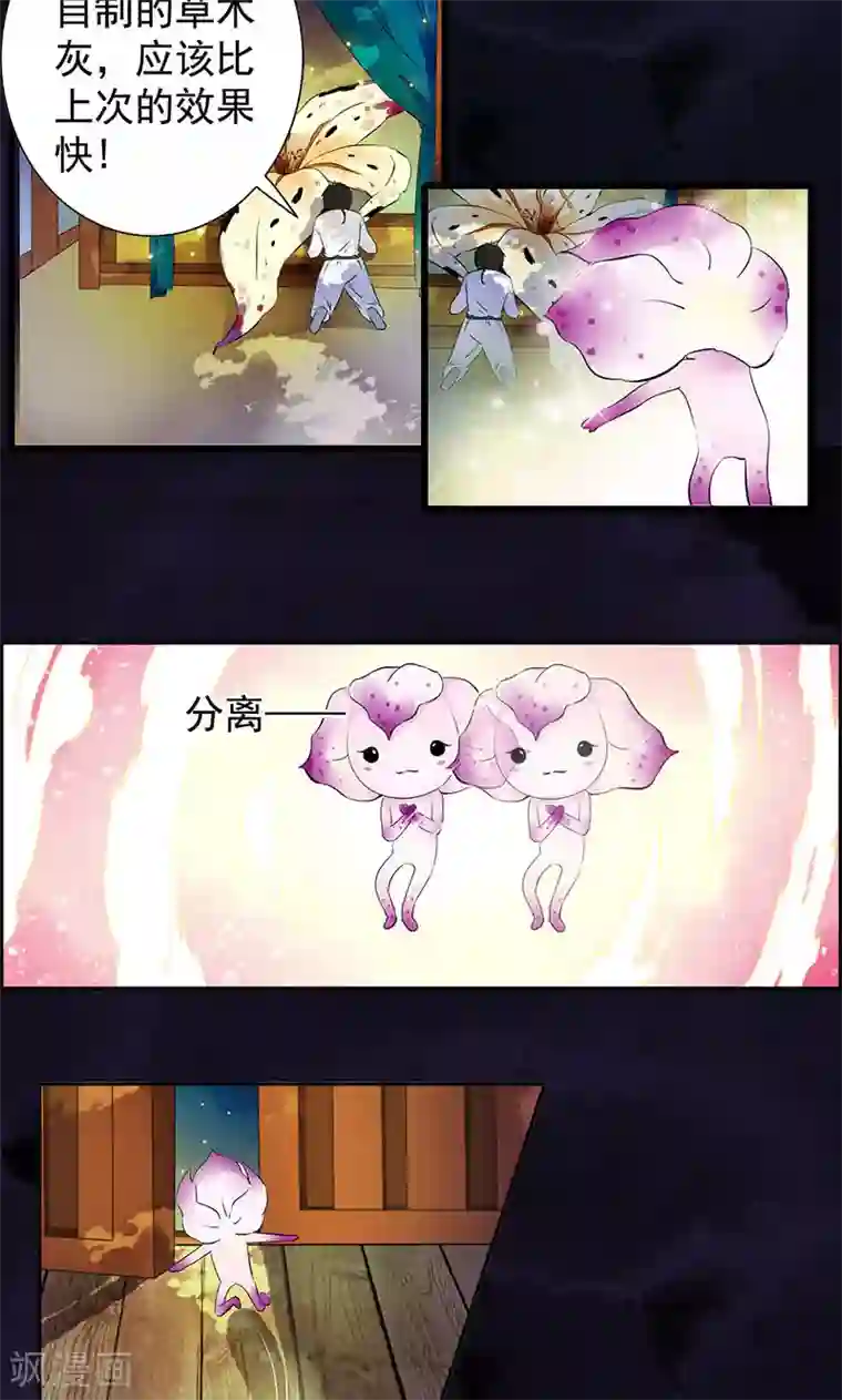 少年，你是哪根草第32话 兰影的阴谋