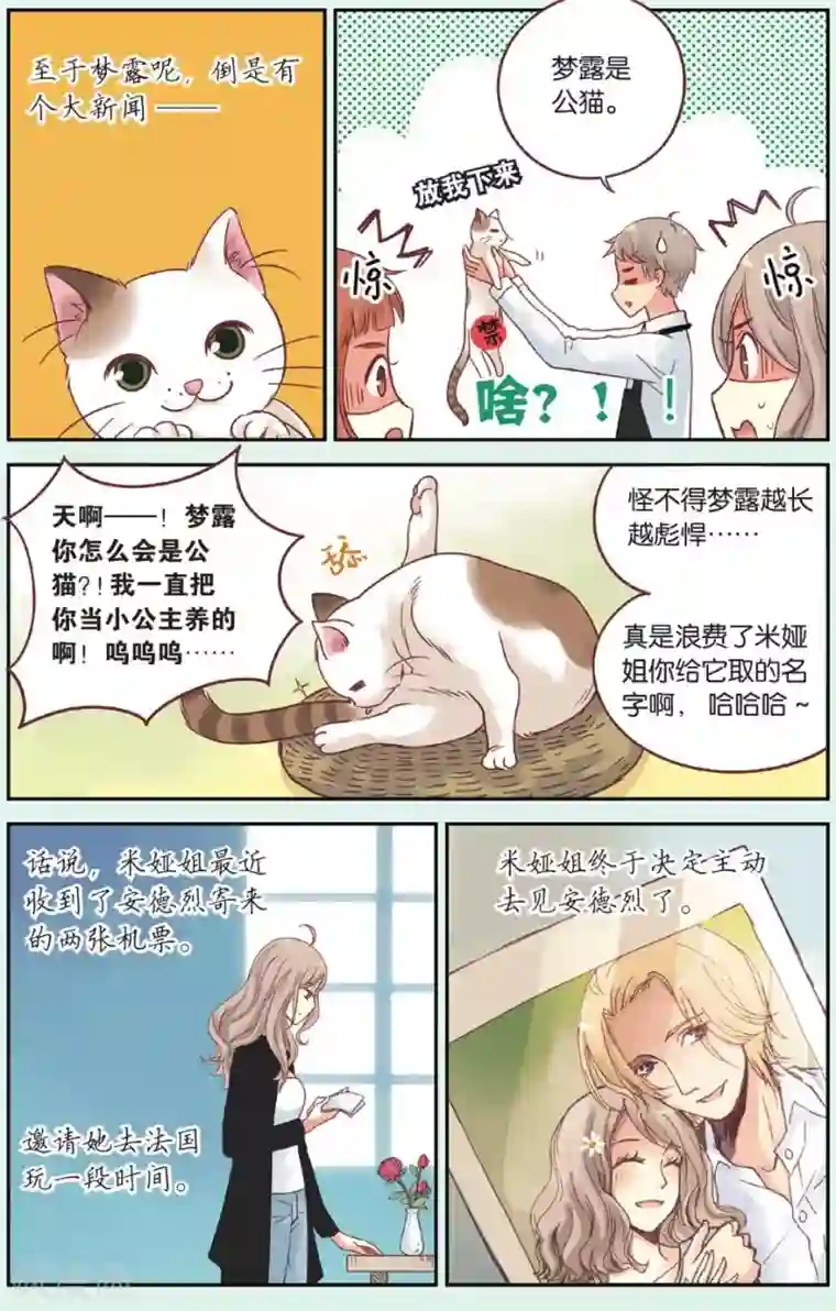 薄荷之夏第40话 回到最初的地方