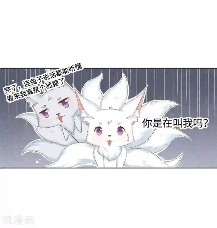 狐妖太子妃第1话 重生九尾狐