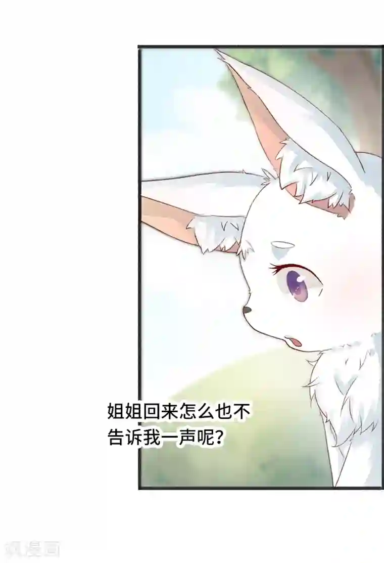 狐妖太子妃第1话 重生九尾狐