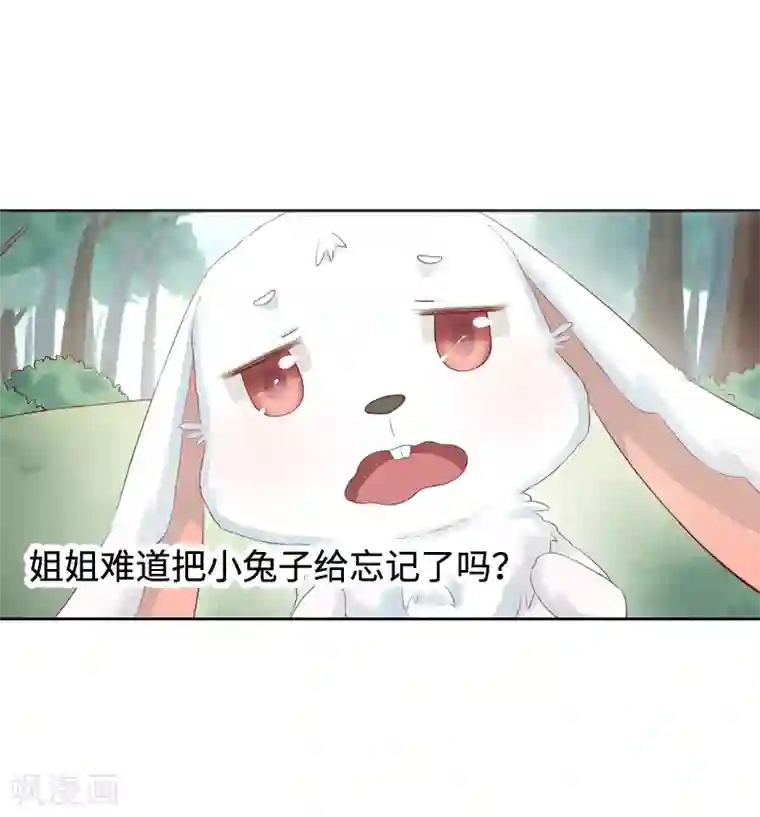 狐妖太子妃第1话 重生九尾狐