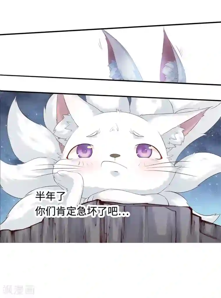 狐妖太子妃第1话 重生九尾狐