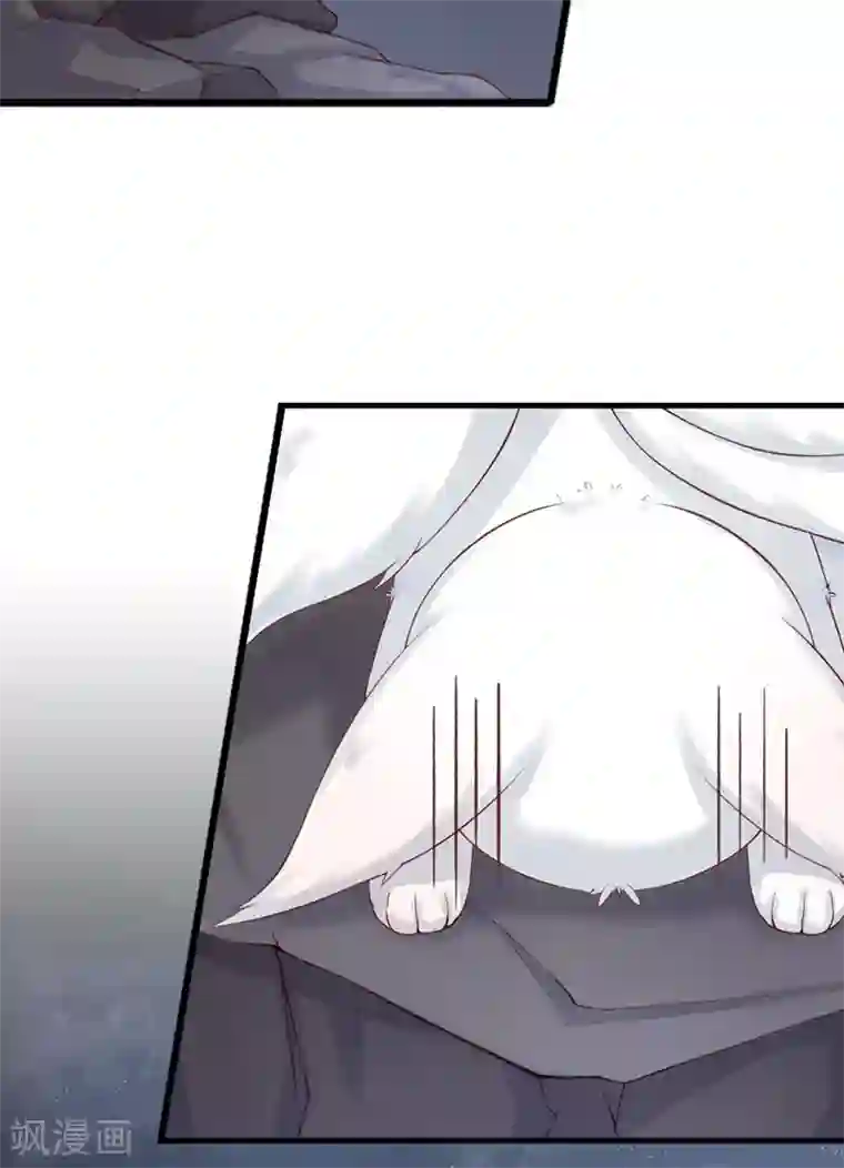 狐妖太子妃第1话 重生九尾狐