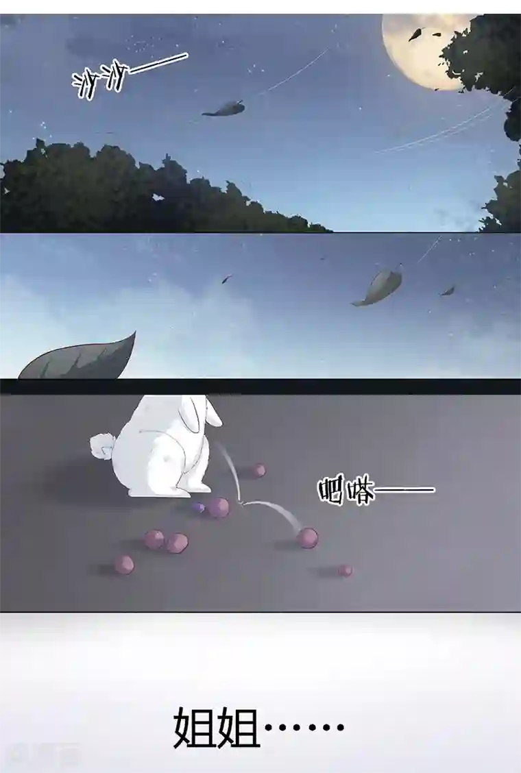 狐妖太子妃第1话 重生九尾狐