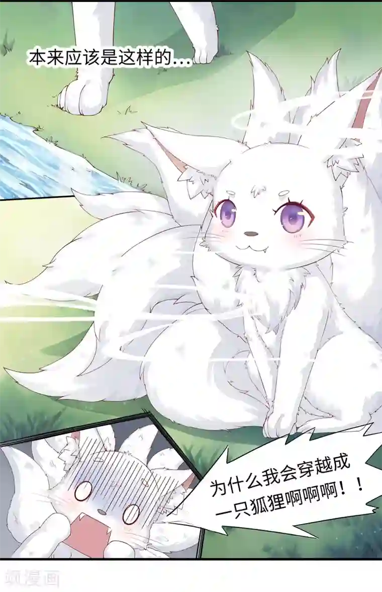 狐妖太子妃第1话 重生九尾狐