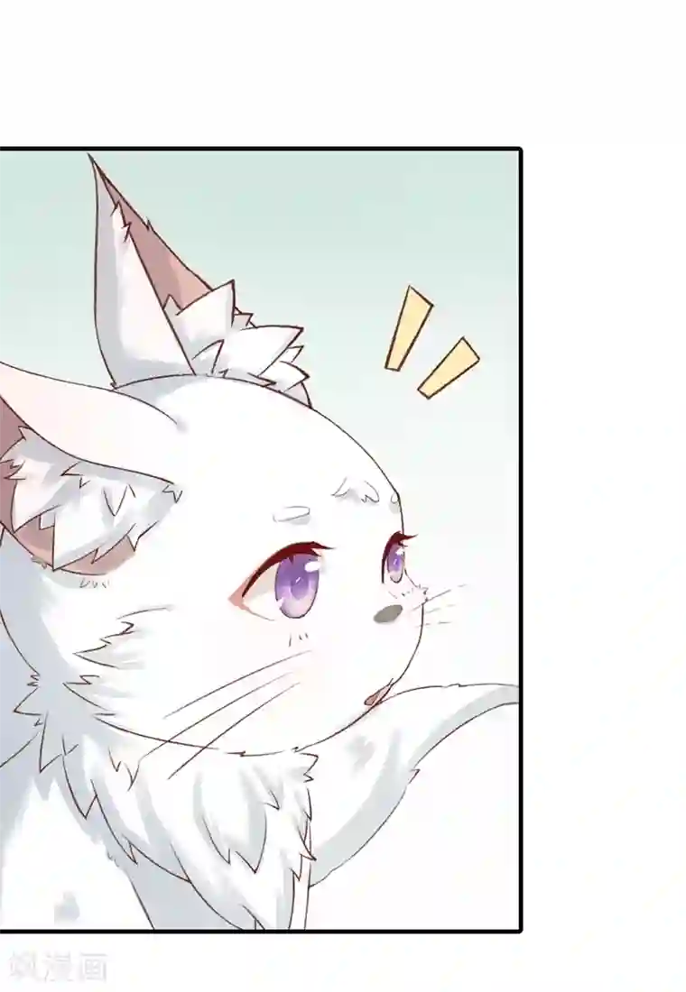 狐妖太子妃第1话 重生九尾狐