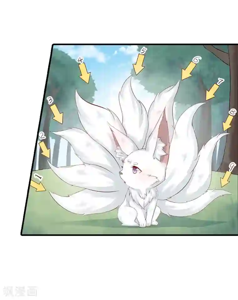 狐妖太子妃第1话 重生九尾狐