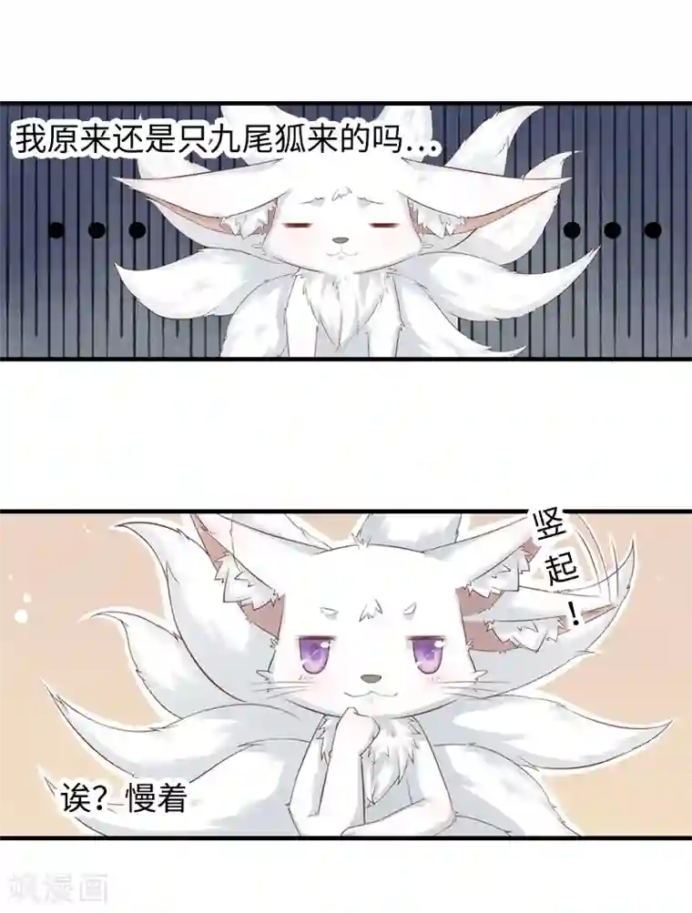 狐妖太子妃第1话 重生九尾狐