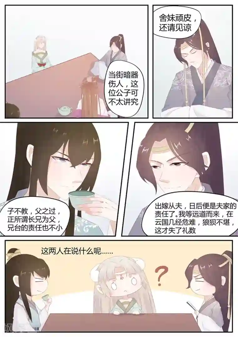 狐妖太子妃第15话 面熟的大帅哥