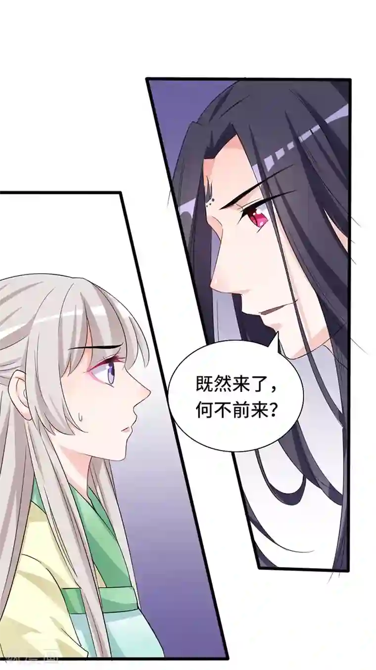 狐妖太子妃第71话 正面交锋