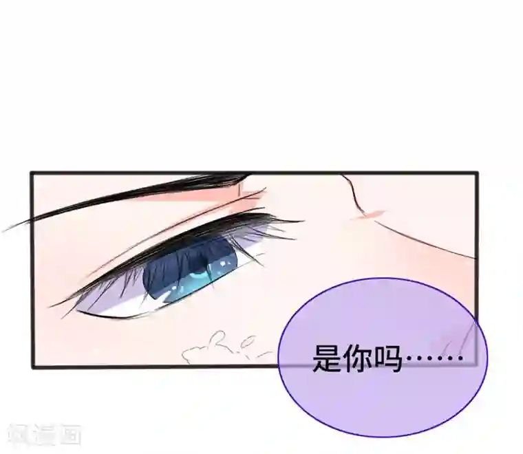 狐妖太子妃第74话 太子伤重