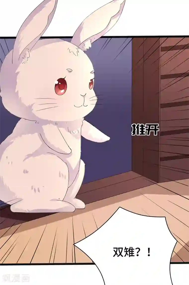 狐妖太子妃第80话 风雨欲来