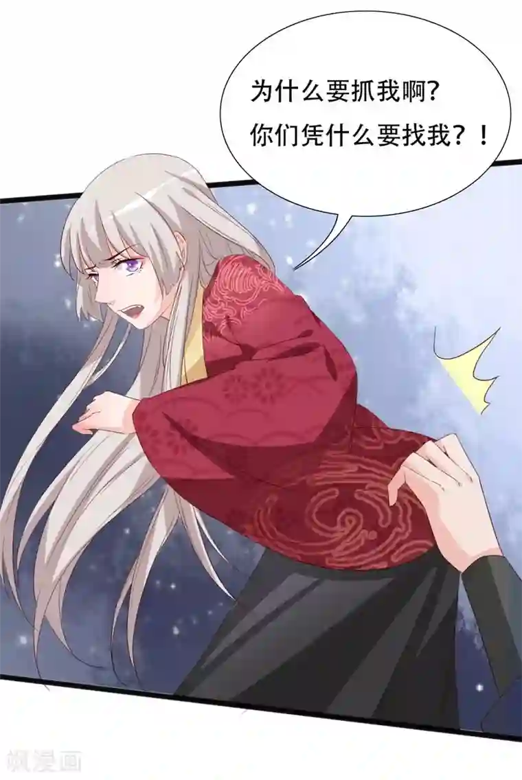 狐妖太子妃第93话 高人现真身