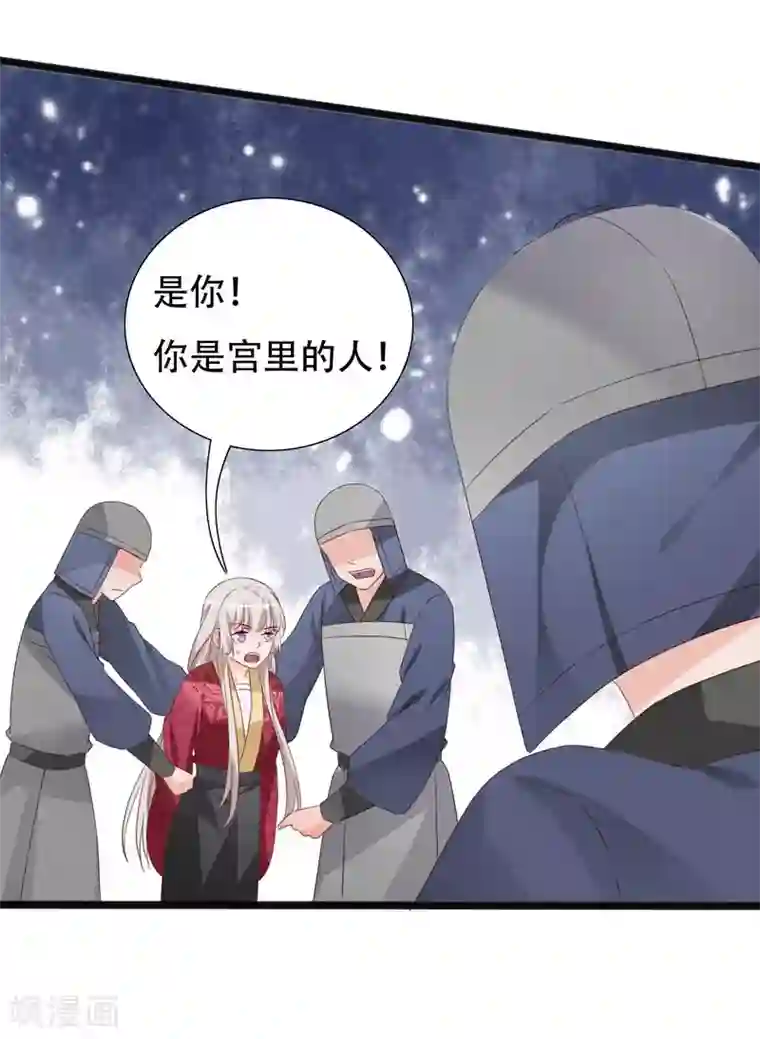 狐妖太子妃第93话 高人现真身