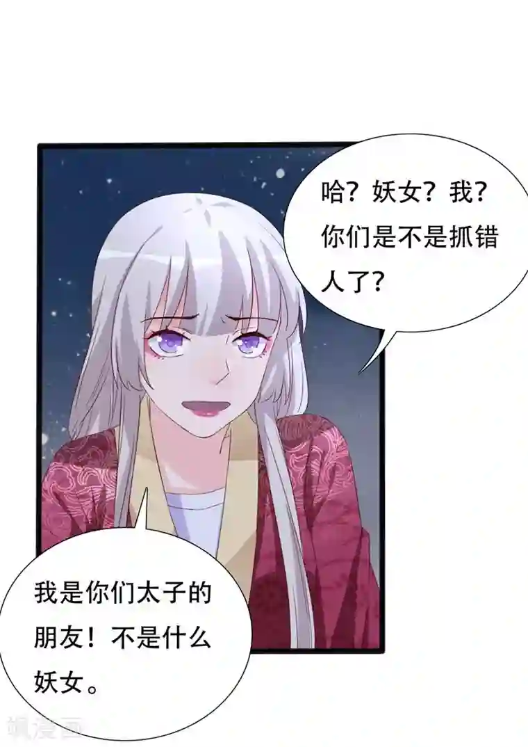 狐妖太子妃第93话 高人现真身