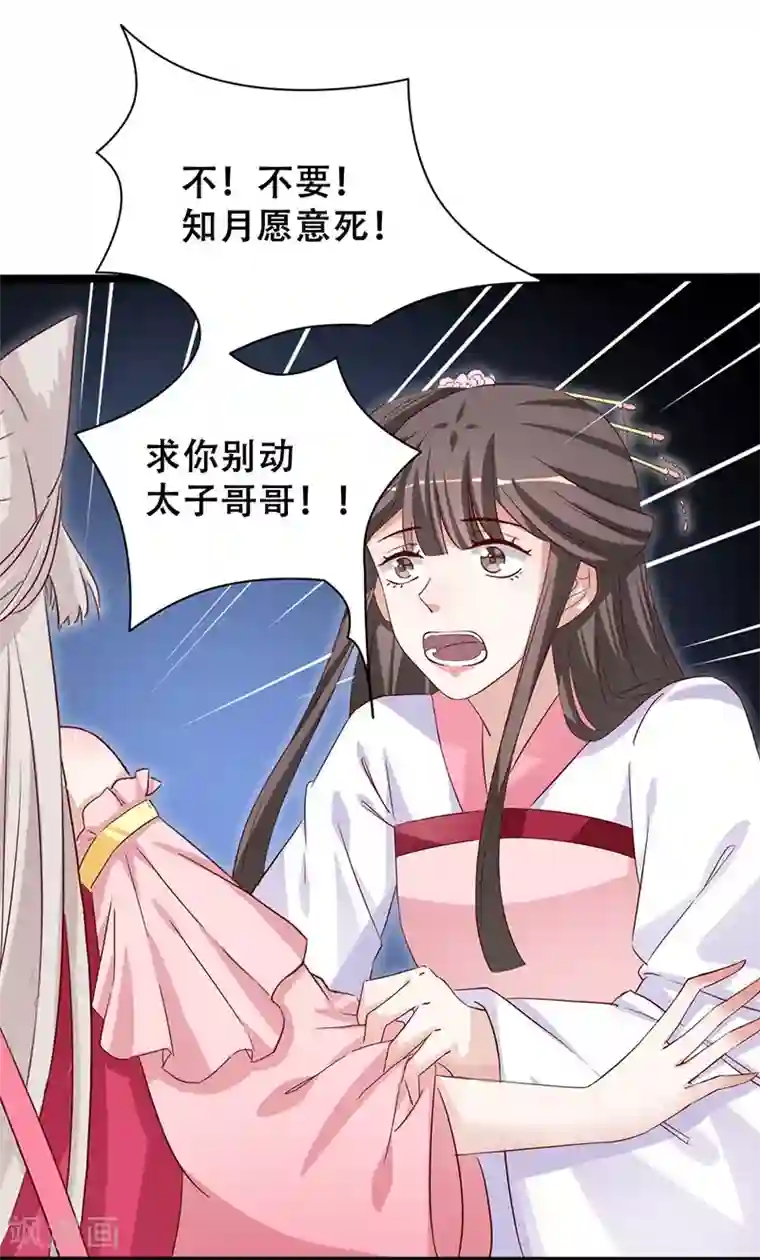 斑扉病娇千手聚聚想要爱