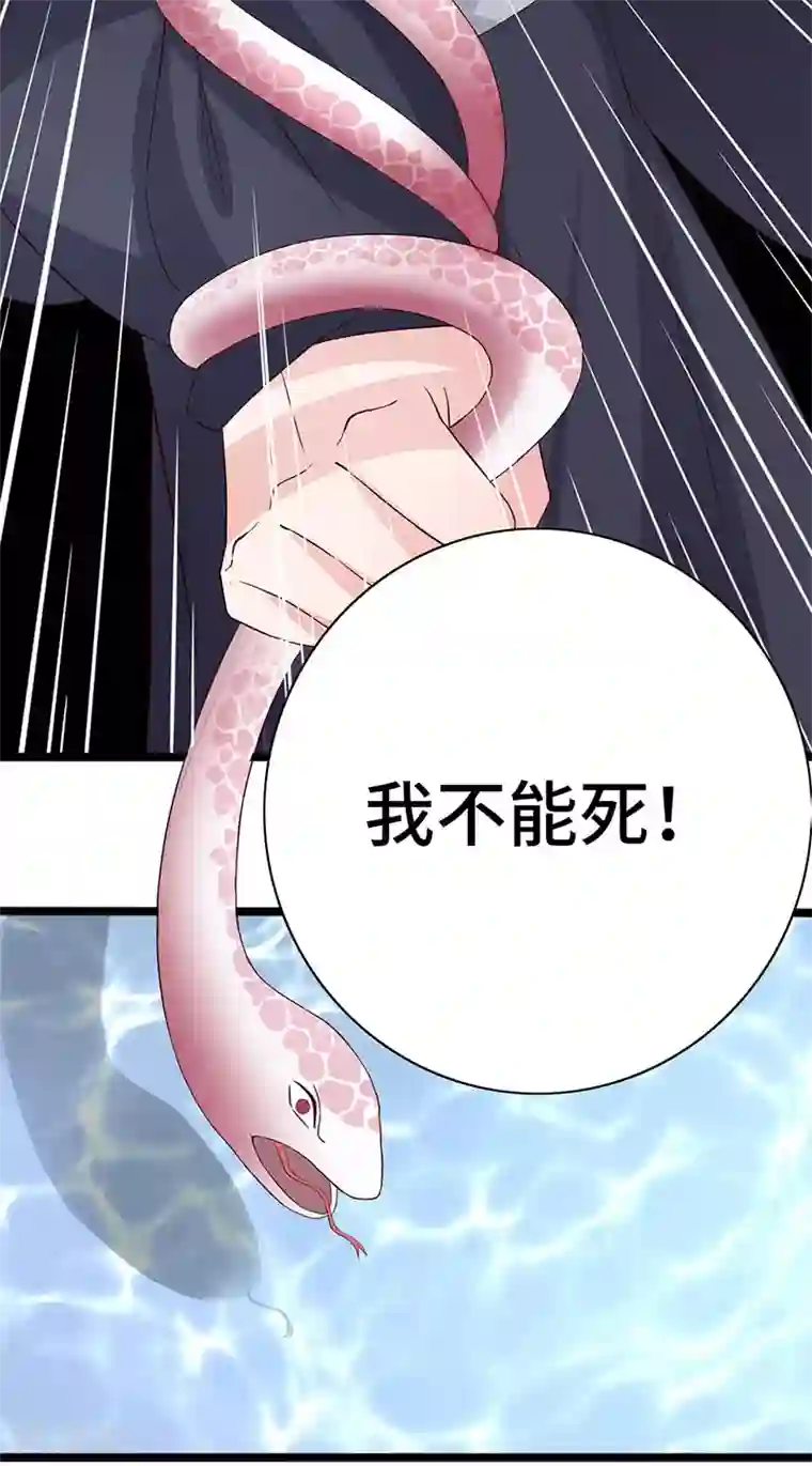 狐妖太子妃第102话 新的开始