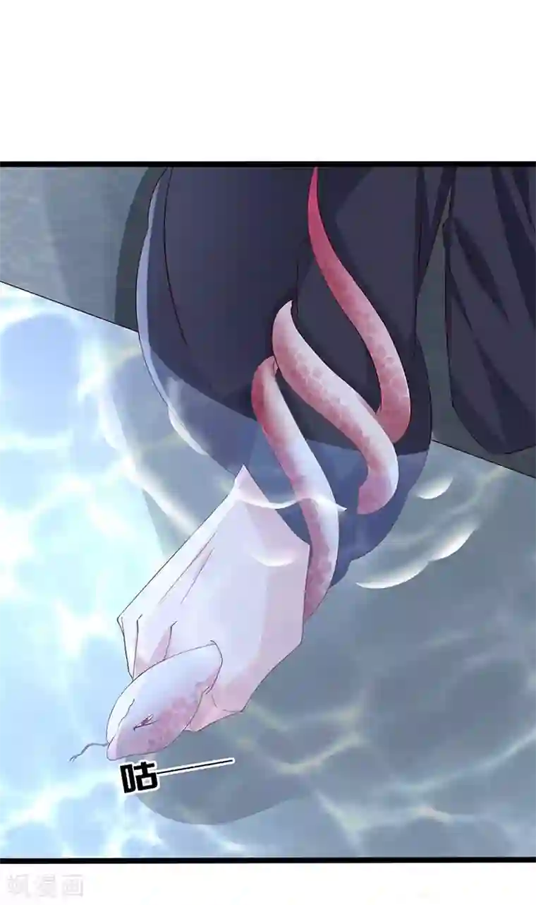 狐妖太子妃第102话 新的开始