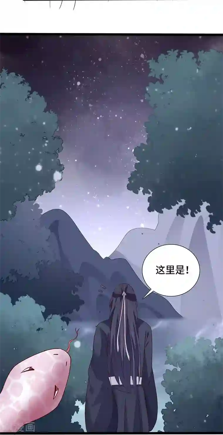 狐妖太子妃第102话 新的开始