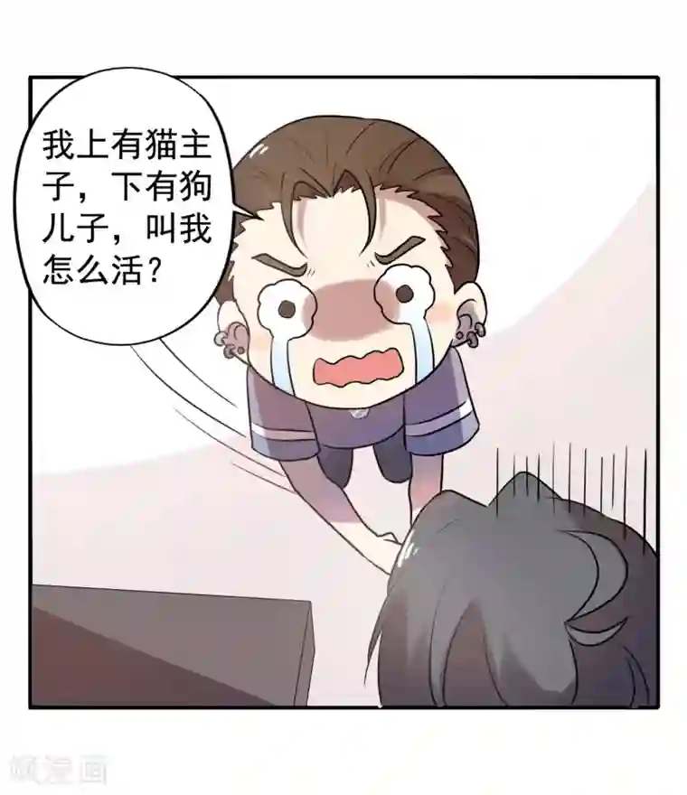 谋心游戏夏日小四格5