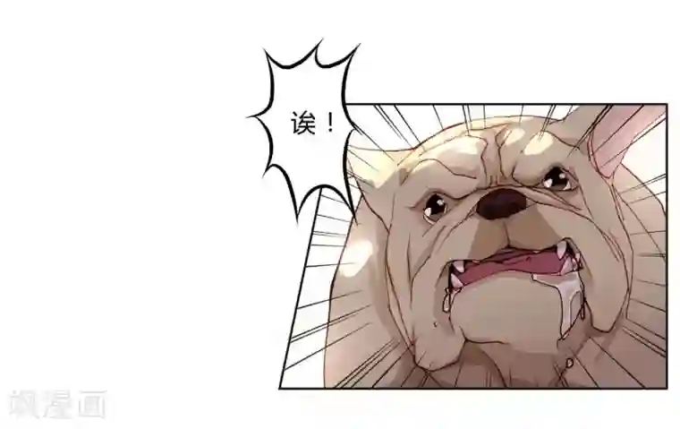 重生之星光璀灿第5话 一言不合就发车？