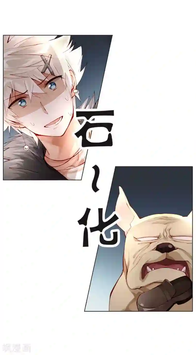 重生之星光璀灿第13话 两个里面选一个