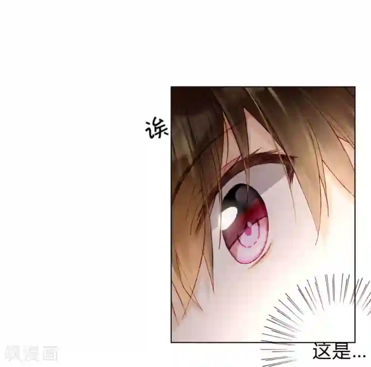 重生之星光璀灿第36话 紧急联系人