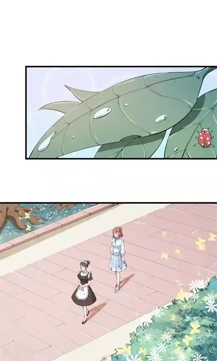 少爷的新娘第10话 我说了算