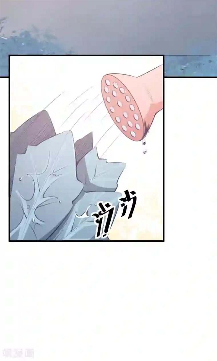 少爷的新娘第47话 决定你命运的人