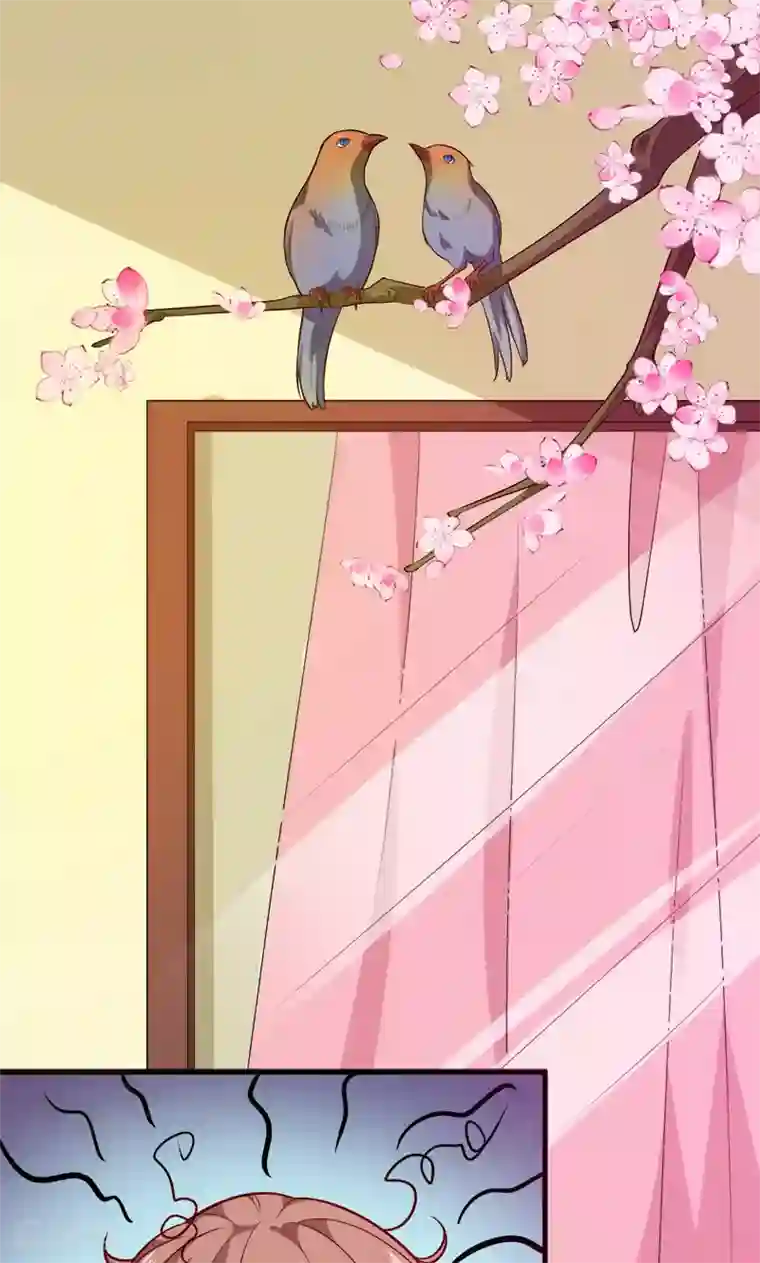 少爷的新娘第97话 告诉大家