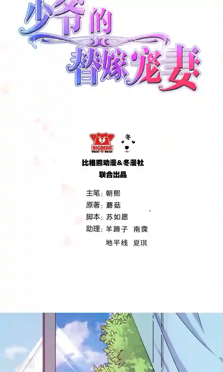 少爷的新娘第110话 怀孕了？