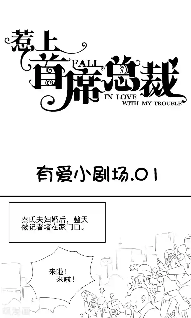 惹上首席总裁番外3