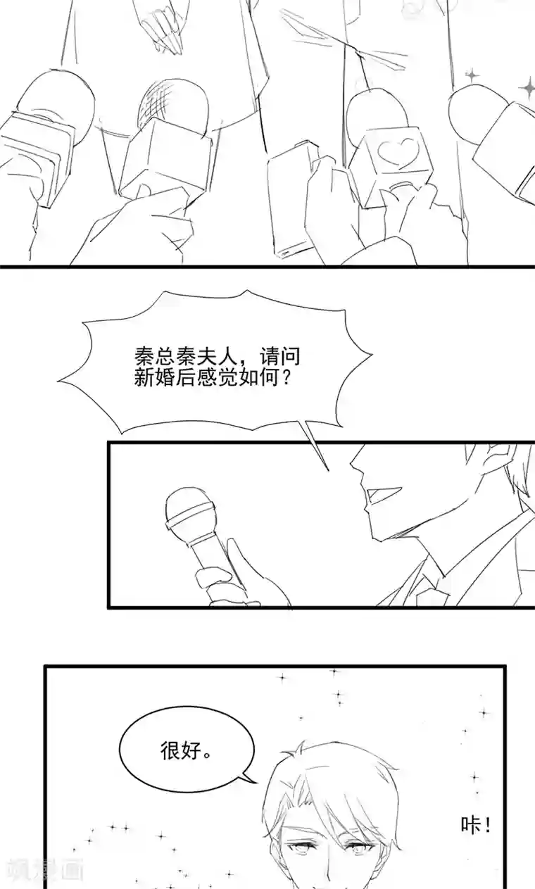 惹上首席总裁番外3