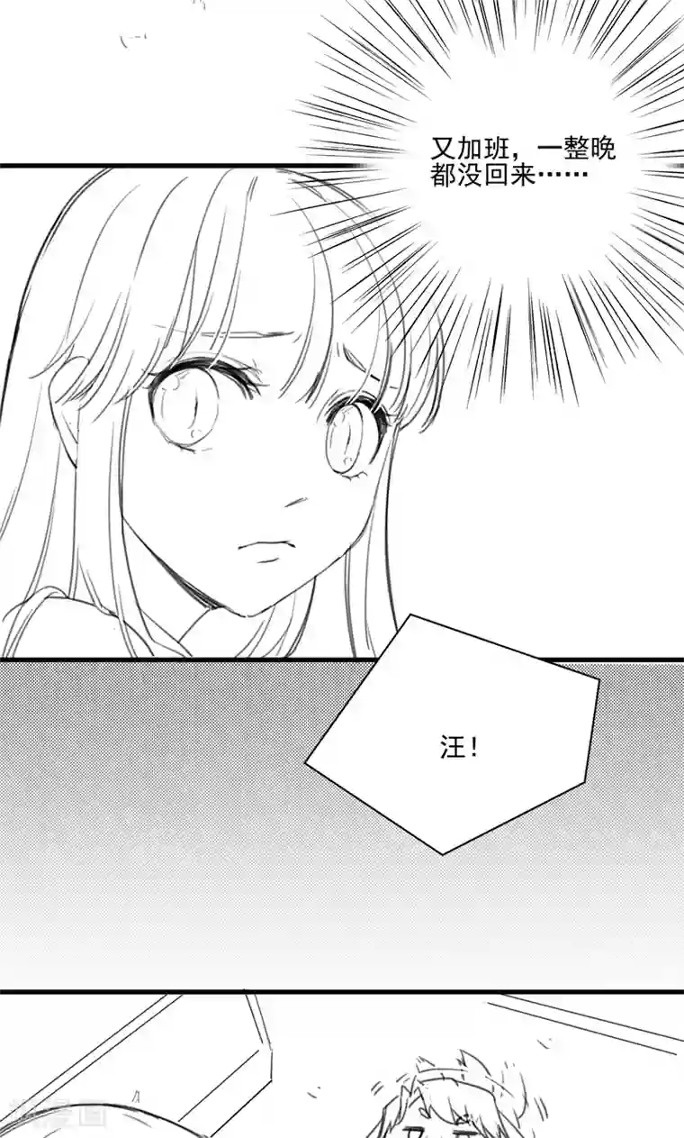 惹上首席总裁番外3