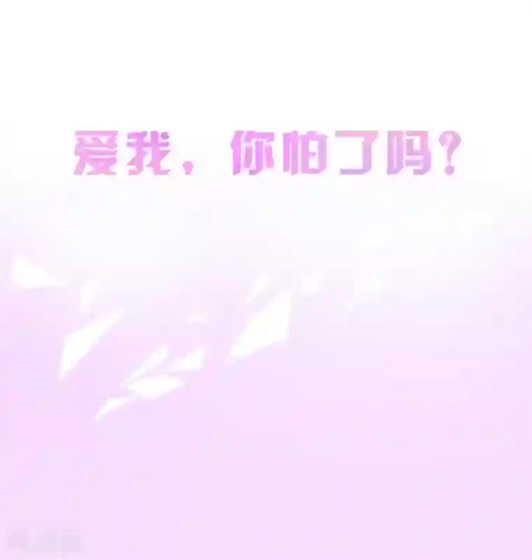 惹上首席总裁第二季预告