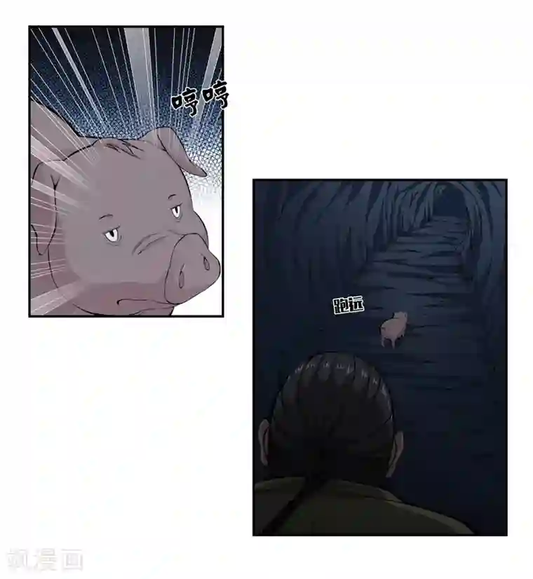 天演录第39话 山洞里的古墓