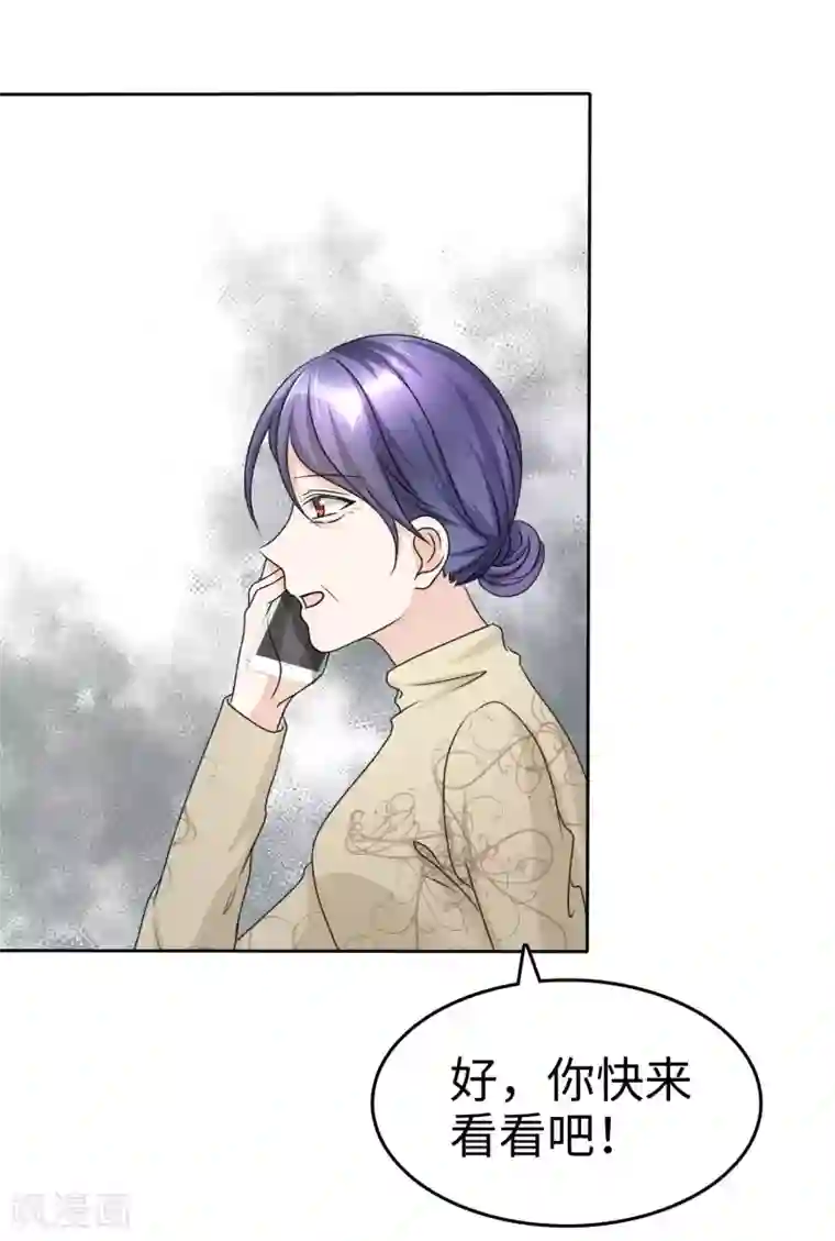 宠妻逆袭之路第31话 百分之二十的股份