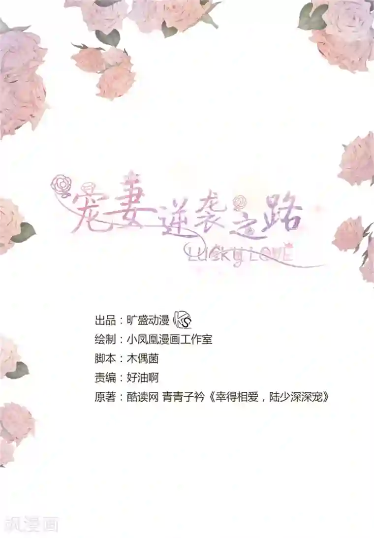 宠妻逆袭之路第44话 总统套房