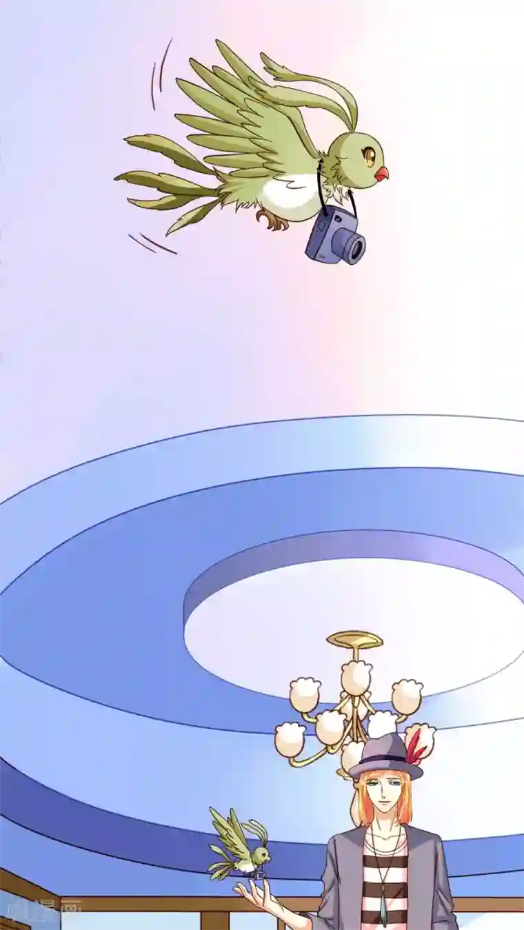 我家业主会作妖第11话 春光水暖鸟先知