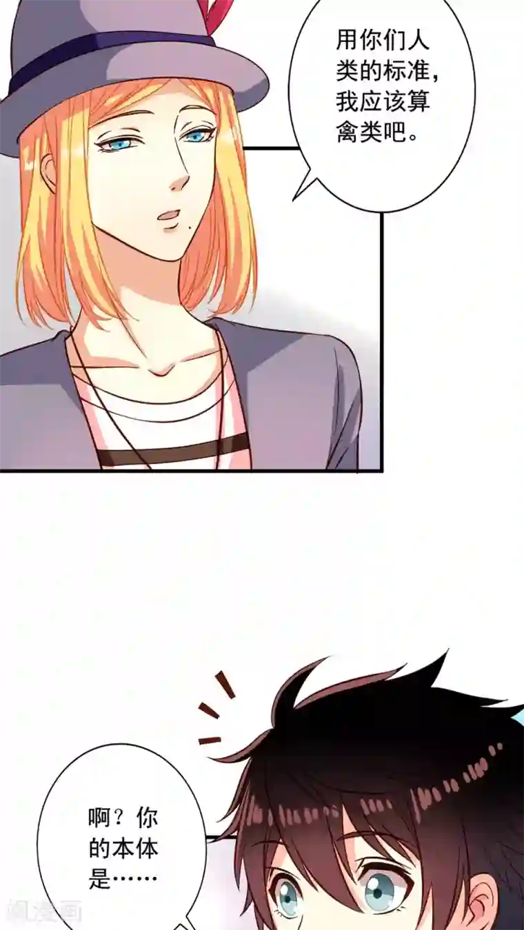 我家业主会作妖第12话 我的地盘我做主