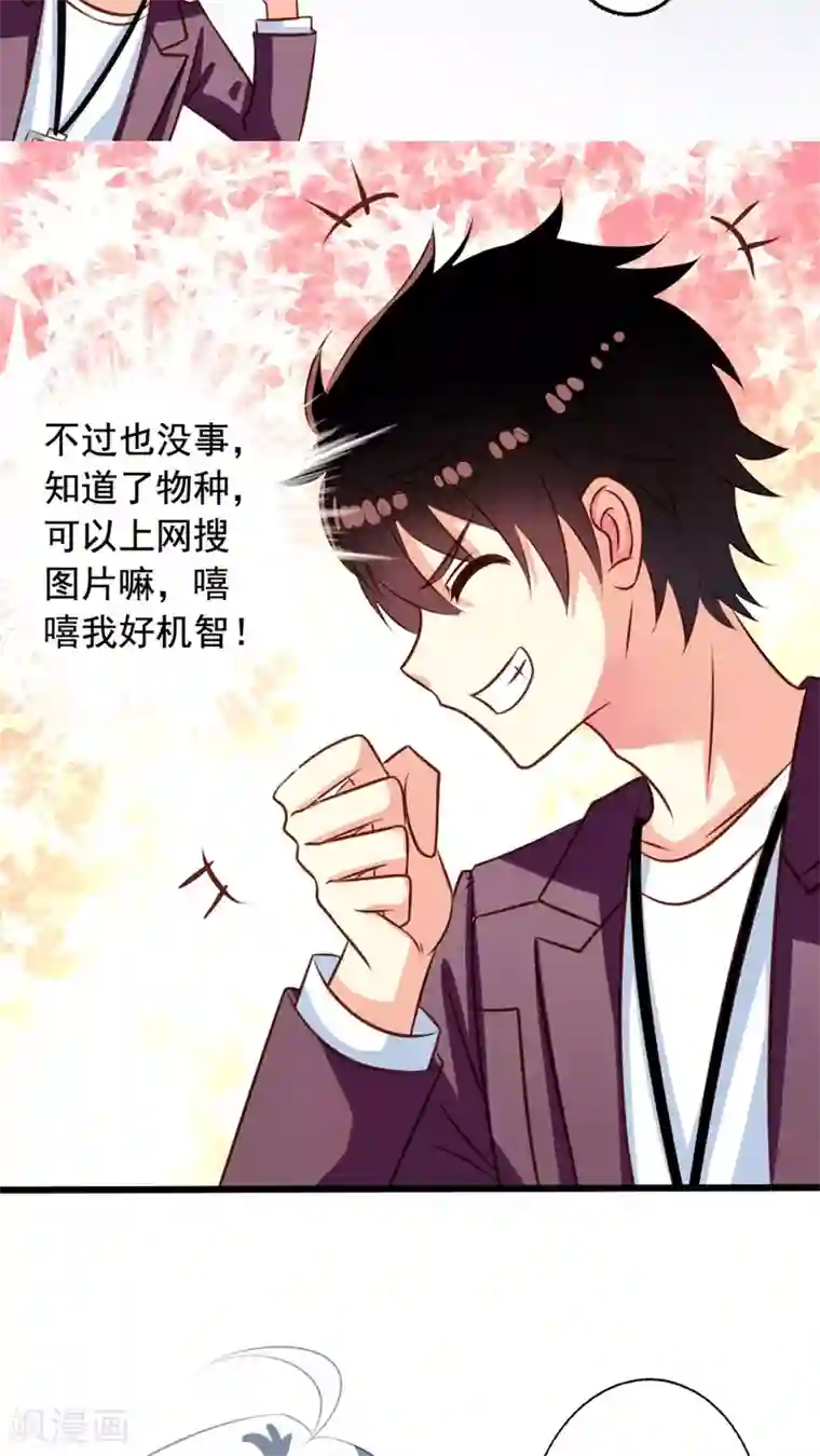 我家业主会作妖第34话 苦命鸳鸯