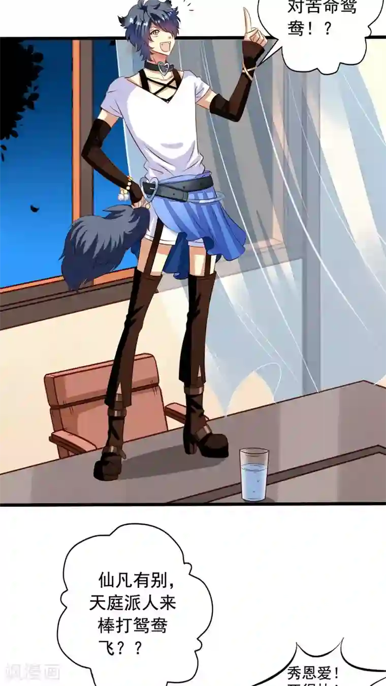 我家业主会作妖第34话 苦命鸳鸯