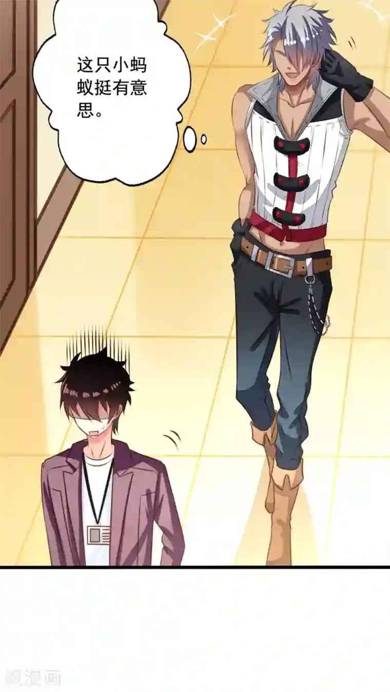 我家业主会作妖第34话 苦命鸳鸯