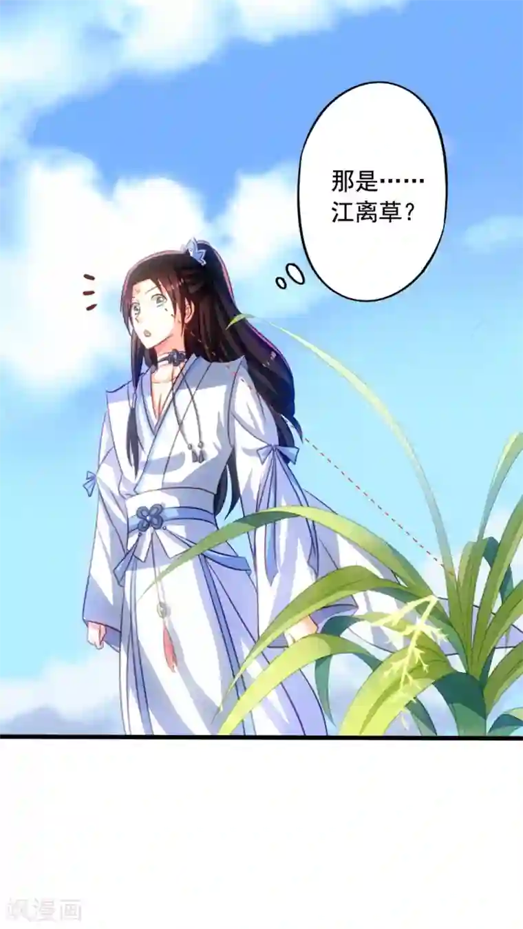 我家业主会作妖第50话 九爷！我养你！