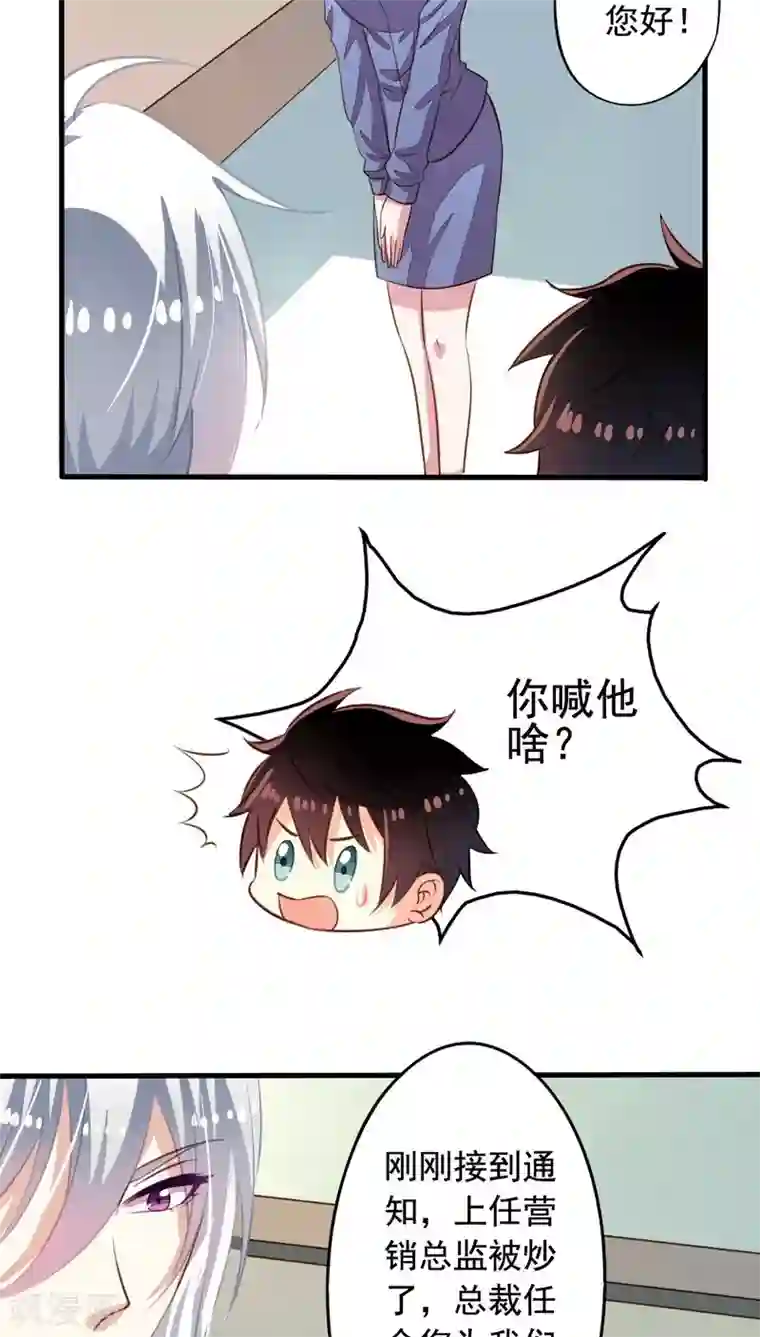 我家业主会作妖第57话 总监九爷