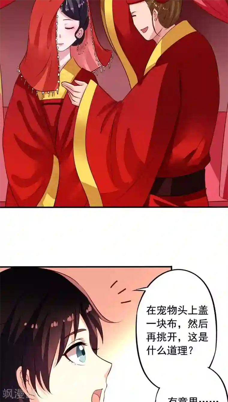 我家业主会作妖番外5 我们洞房吧