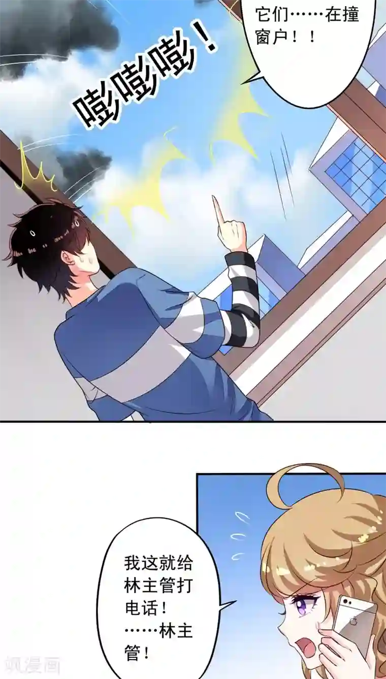 我家业主会作妖第68话 九爷到底救不救