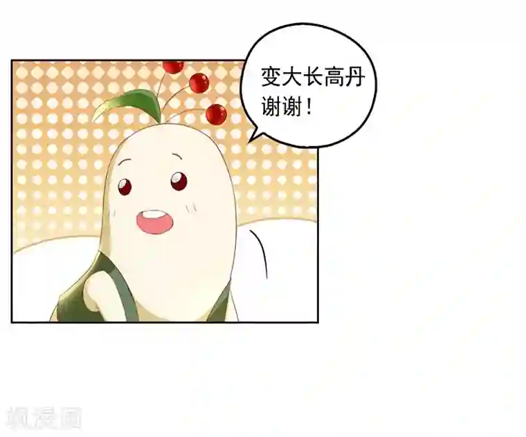 倾城狂妃第12话