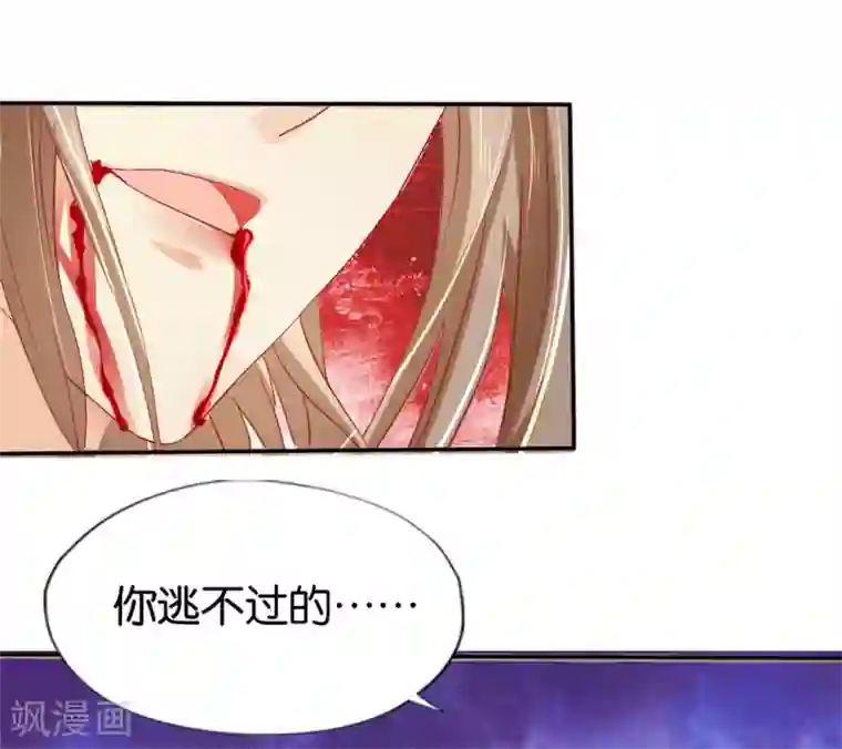 倾城狂妃第25话