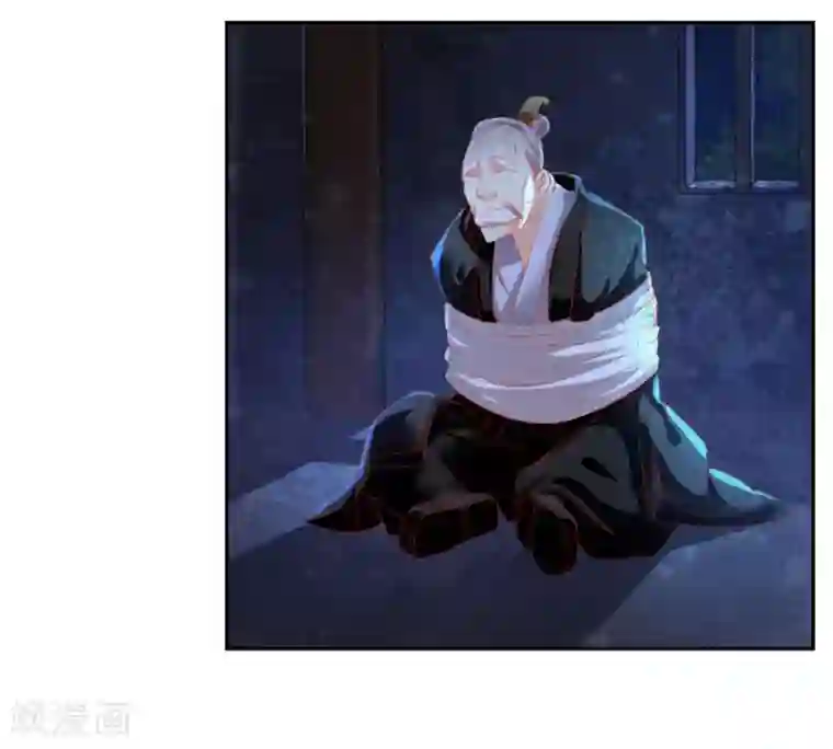 倾城狂妃第29话